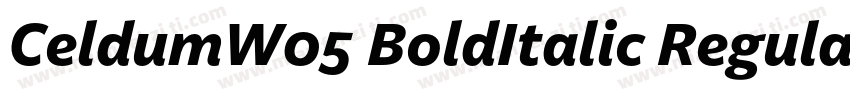 CeldumW05 BoldItalic Regular字体转换